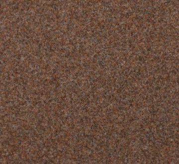 Solid is a Contract Carpet Carpet in Brown