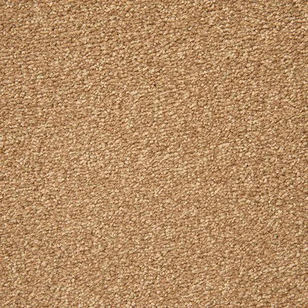 Stainfree Gracious Deep Pile Saxony Carpet Summer Breeze 19 2.5m
