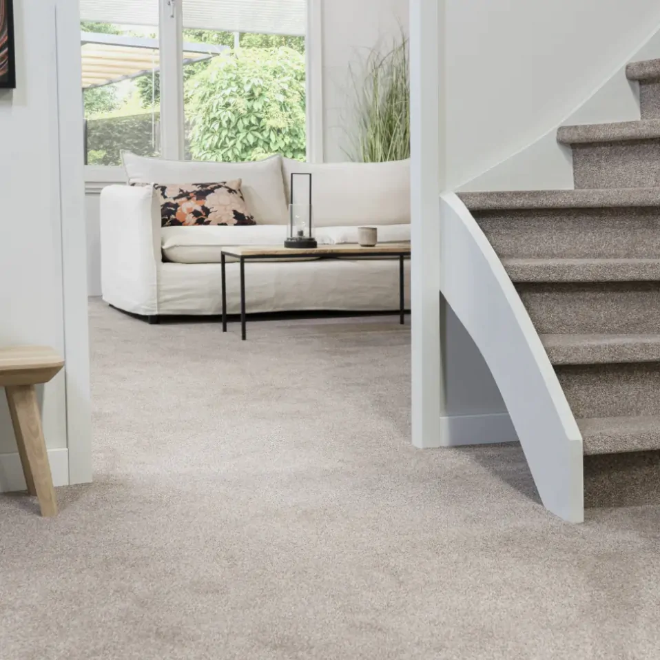 Twist pile carpet discount