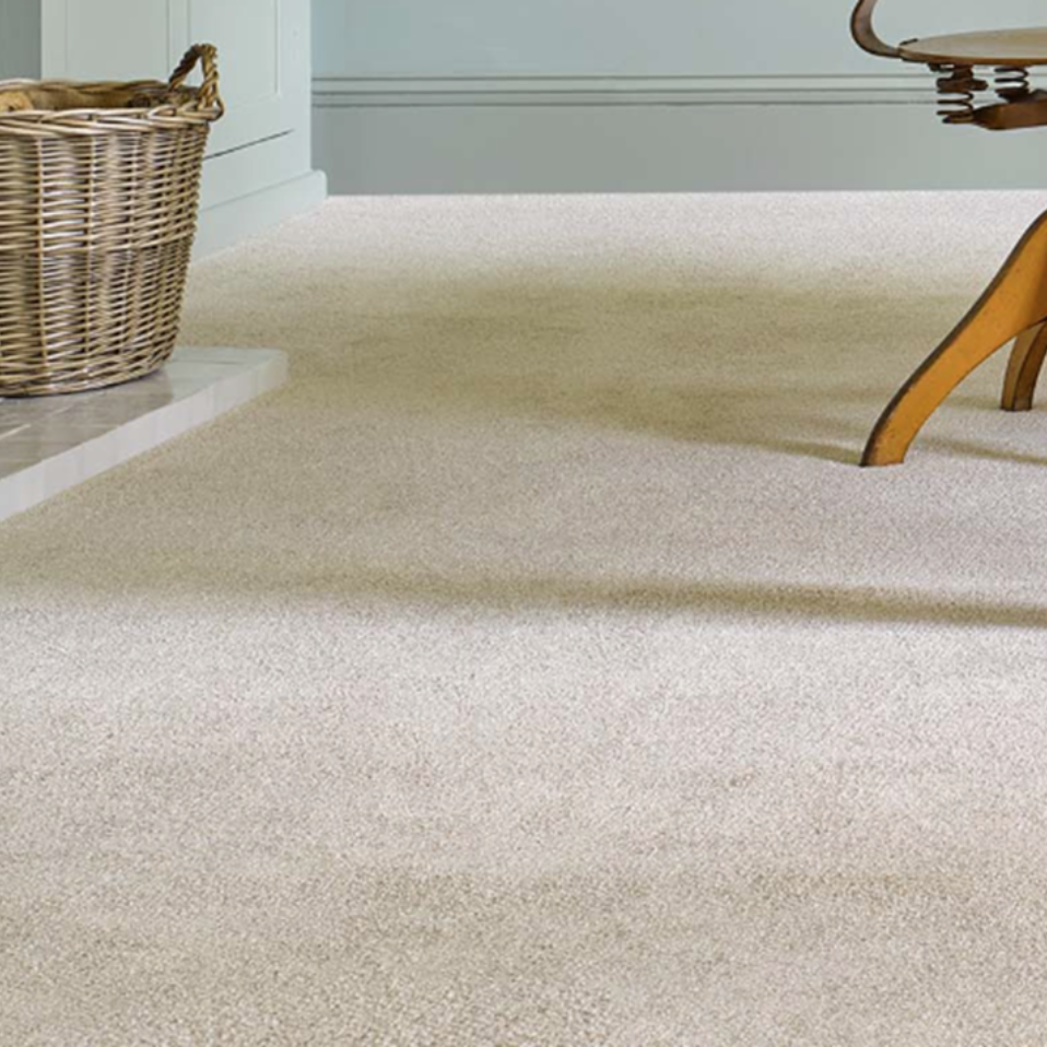 Trail Twist Carpet