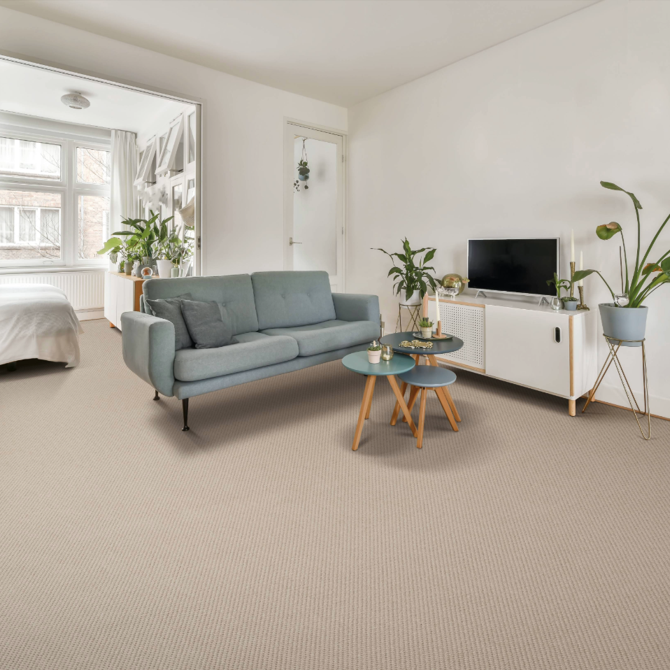 Picasso Berber Loop Carpet