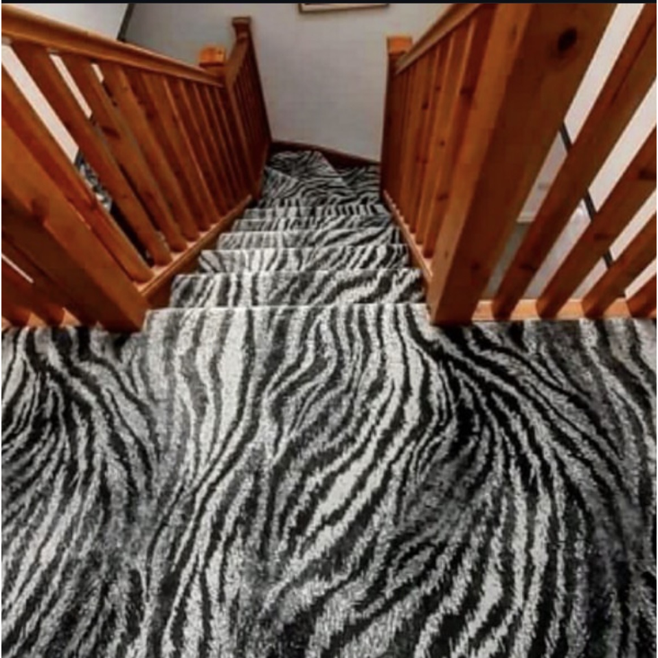 Capricorn Wilton Zebra