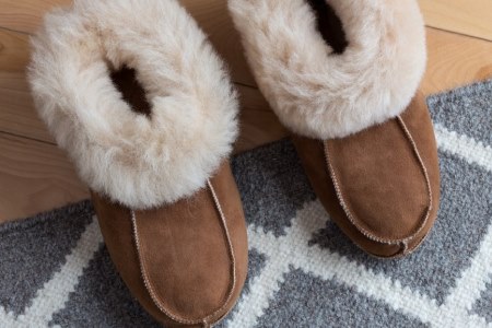 slippers on carpet